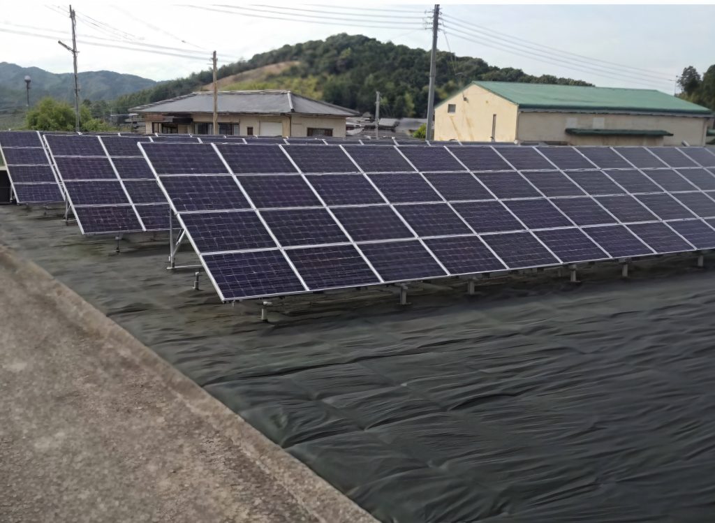 除草剤　grassbuster.